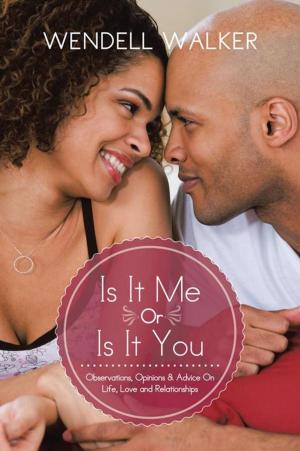 Cover of the book Is It Me or Is It You by Dr. Terry Haynes