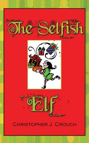 Cover of the book The Selfish Elf by Walt Brown