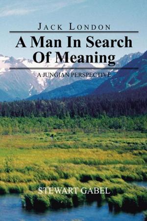 Book cover of Jack London: a Man in Search of Meaning