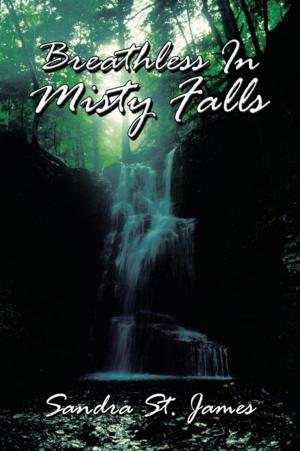 Cover of the book Breathless in Misty Falls by E.Wiseman Woomer Jr.