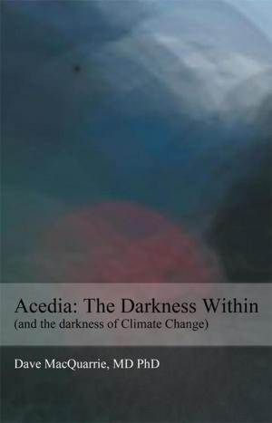 Cover of the book Acedia: the Darkness Within by Leanne Garrett Flanagan