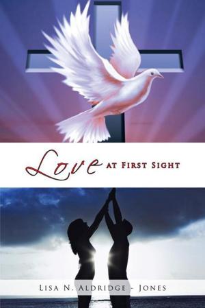Cover of the book Love at First Sight by Evelyn Lerman