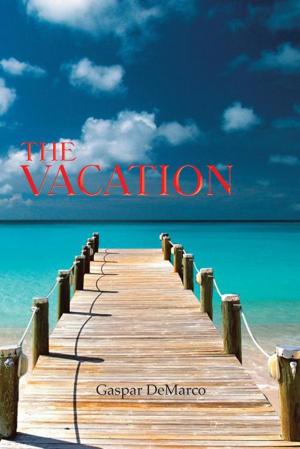 Cover of the book The Vacation by Barbara Whitehead Worsley