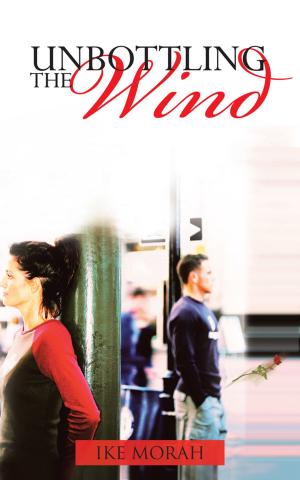 Cover of the book Unbottling the Wind by Emily Jane, Jeffrey Eugene Elliott