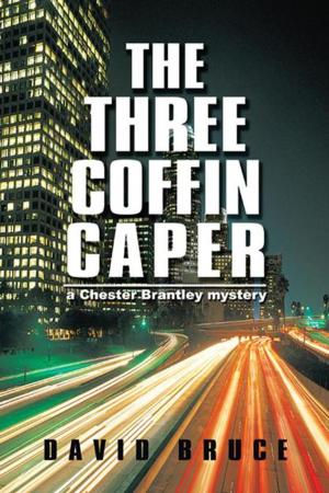 Cover of the book The Three Coffin Caper by DF Doran