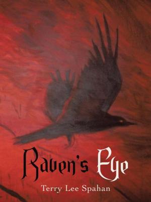 Book cover of Raven's Eye