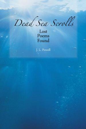 Cover of the book Dead Sea Scrolls by JUDITH ANN RUSH