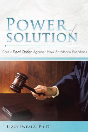 Cover of the book Power of Solution by Marty Rightmyer