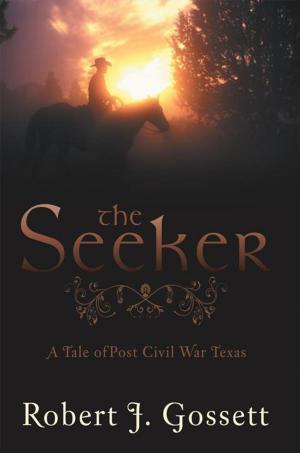 Cover of the book The Seeker by Abraham Isaac Tov