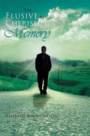 Cover of the book The Elusive but Cherished Memory by 白靈