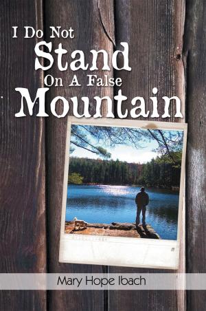 Cover of the book I Do Not Stand on a False Mountain by Rb Porter