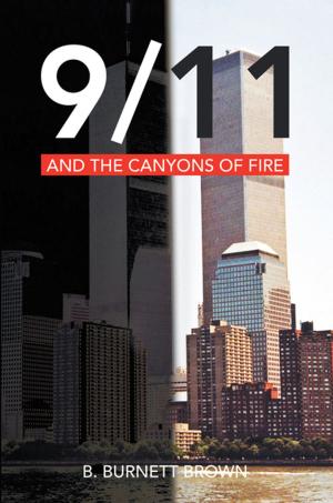 Cover of the book 9/11 and the Canyons of Fire by Ann Walker Conley