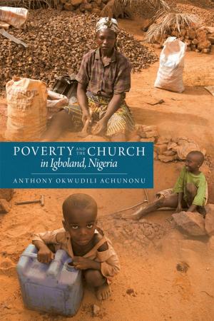 Cover of the book Poverty and the Church in Igboland, Nigeria by Michele Meyer