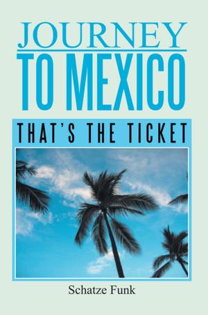bigCover of the book Journey to Mexico by 