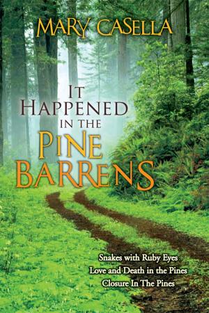 Cover of the book It Happened in the Pine Barrens by Steven Derfler