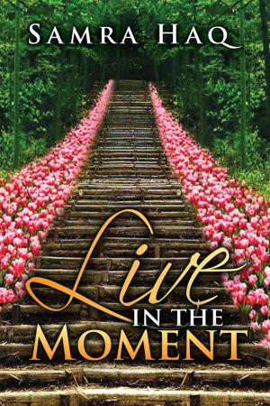Cover of the book Live in the Moment by TJ Allen