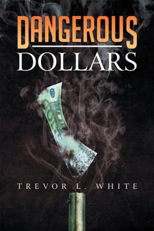 Cover of the book Dangerous Dollars by Jennifer Marik Betham-Lang