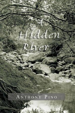 Cover of the book A Hidden River by David A. Cox