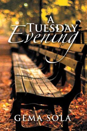 Cover of the book A Tuesday Evening by Mary Nighthawk