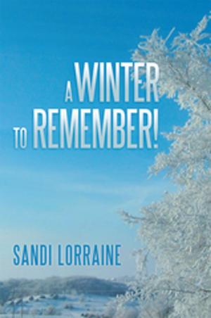 Cover of the book A Winter to Remember! by Omar Shariff Lowery