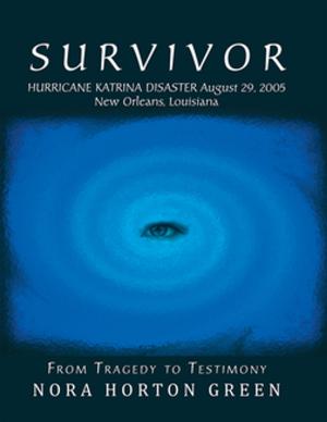 Cover of the book Survivor by John H. Jackson