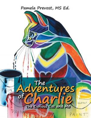 Cover of the book The Adventures of Charlie by Paul Raffer