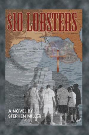Cover of the book $10 Lobsters by Dr. Nazeer Ahmed