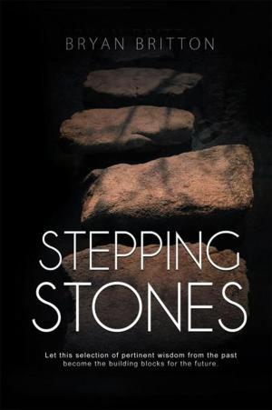 Cover of the book Stepping Stones by Zure Asimia