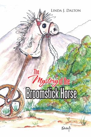 Cover of the book The Mystery of the Broomstick Horse by Marilyn Irr