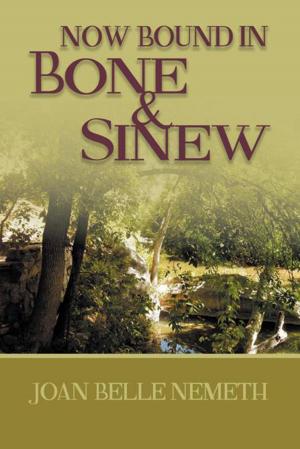 Cover of the book Now Bound in Bone and Sinew by Nicole Jackson