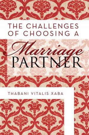 Cover of the book The Challenges of Choosing a Marriage Partner by Jamie Martin