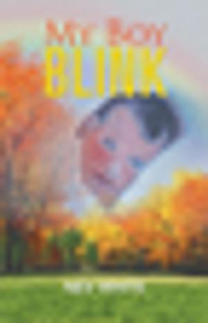 Cover of the book My Boy Blink by Joseph Ndombasi.