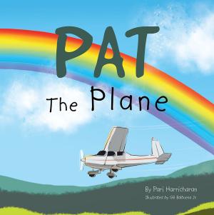 Cover of the book Pat the Plane by James VanAntwerp