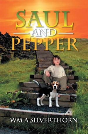 Cover of the book Saul and Pepper by D. W. Cantrell