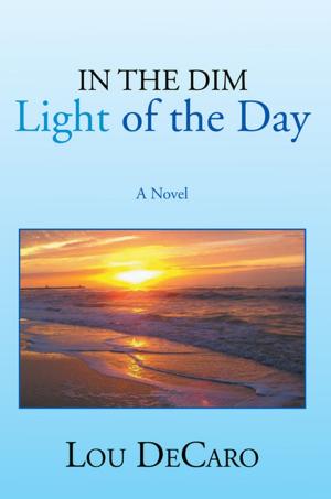 Book cover of In the Dim Light of the Day