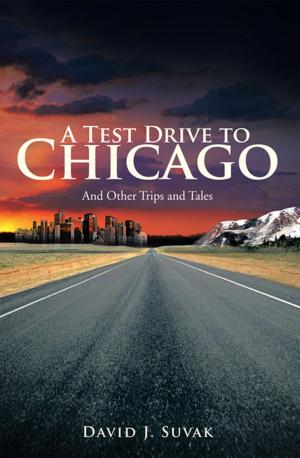 Cover of the book A Test Drive to Chicago by Patricia Rogers Bisgrove