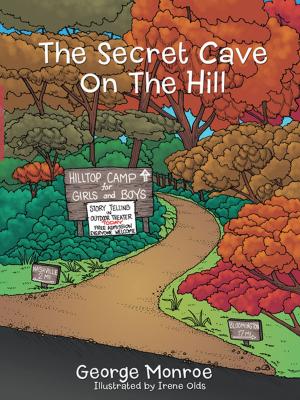bigCover of the book The Secret Cave on the Hill by 
