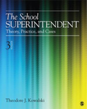 Cover of the book The School Superintendent by Dr. W. James Potter