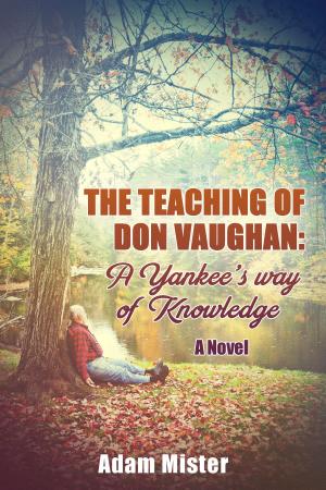 Cover of the book The Teaching of Don Vaughan: A Yankee's Way of Knowledge by Chris Hancock