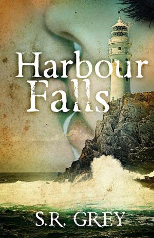 Book cover of Harbour Falls
