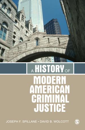 bigCover of the book A History of Modern American Criminal Justice by 