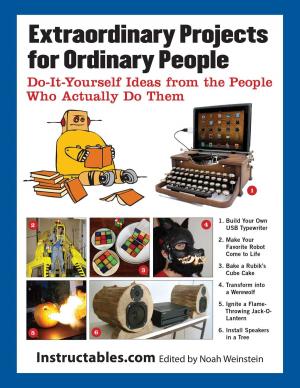 Book cover of Extraordinary Projects for Ordinary People