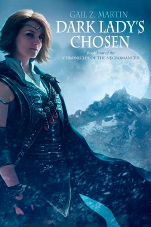 Cover of the book Dark Lady's Chosen by Kenneth C. Flint