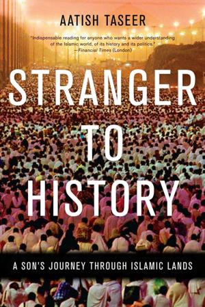 Cover of the book Stranger to History by Nick Flynn