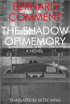 Cover of the book The Shadow of Memory by Seb Doubinsky