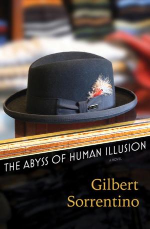 Cover of the book The Abyss of Human Illusion by Jenny Boully