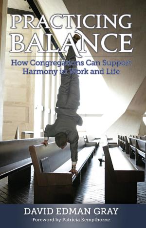 Cover of the book Practicing Balance by Howard E. Friend, Jr.