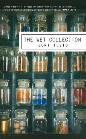 Cover of the book The Wet Collection by Tamas Dobozy
