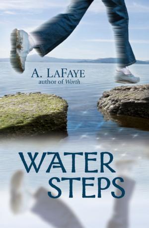 Cover of the book Water Steps by Dan Beachy-Quick