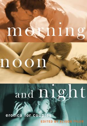 bigCover of the book Morning, Noon and Night by 